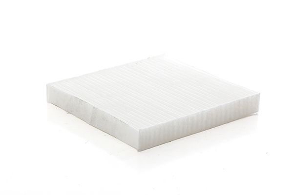 BSG 60-145-036 | Polen Filtresi