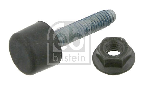 FEBI BILSTEIN 09765 | / Kaput Ayar Civatası | 10 Adet