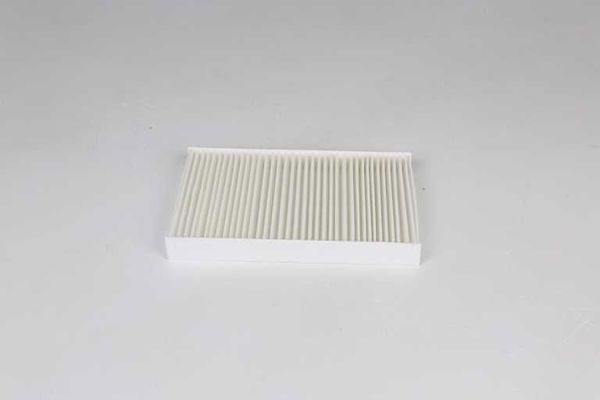 BSG 75-145-004 | Polen Filtresi Kabin Filtresi Karbonsuz