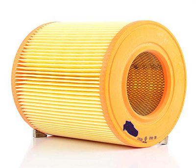 BSG 90-135-016 | Hava Filtresi E670l-Lx 1253 (Silindir)