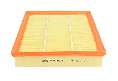 BSG 65-135-012 | Hava Filtresi Tel Harıç