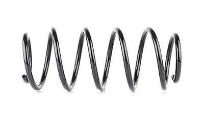 BSG 65-305-003 | Helezon Yayı Ön