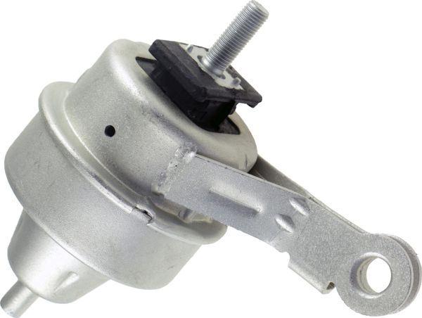RAPRO R54175 | Motor Kulağı R50 / R53
