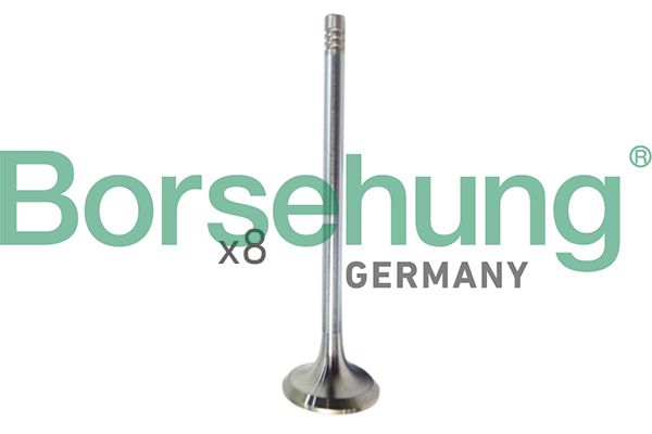 BORSEHUNG B10322 | Subap Takımı (8 + 8) 16 Subap Golf7-Polo-A3-Leon