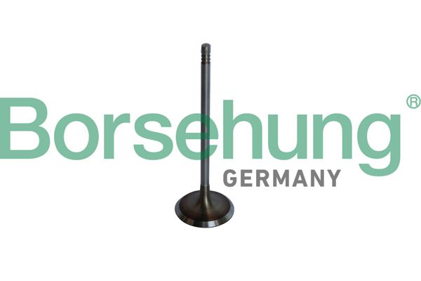 BORSEHUNG B10325 | Subap Emme BMW M54 N52 N53 B30 Adet