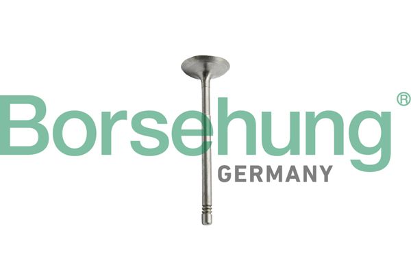 BORSEHUNG B10344 | Subap Egzoz (Mercedes 204 / 212 M 271 Motor)