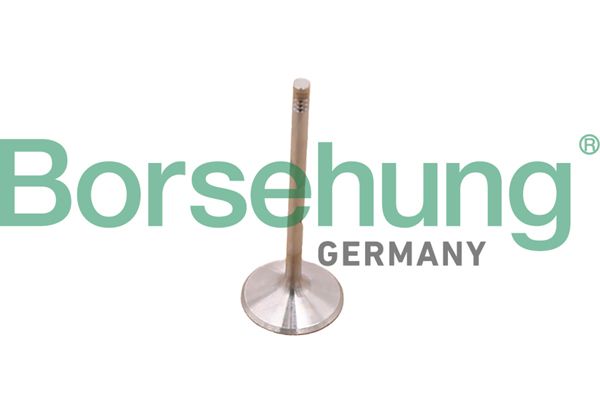 BORSEHUNG B10348 | Subap Eksoz Mercedes W203-204-W211-W212-Spırınter M272