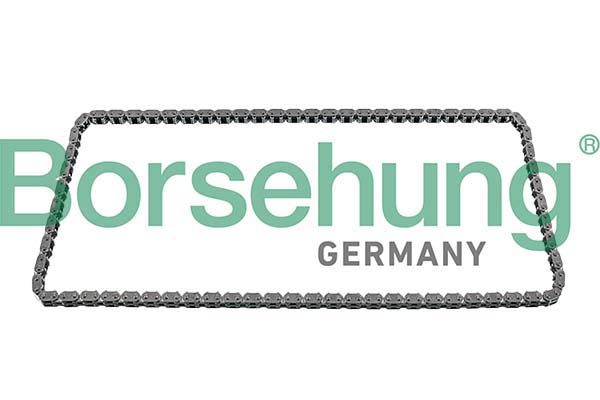 BORSEHUNG B12592 | Eksantrik Zinciri 205-246-117-213-447-Bm 270 Motor (Kapalı) Tek Zincir