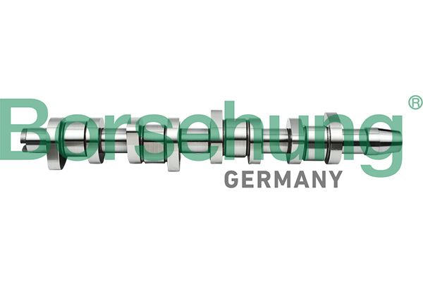 BORSEHUNG B17861 | Eksantrik Mili Çelik Transporter T5-Passat 1.9 TDI