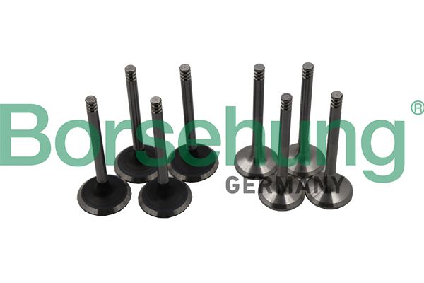 BORSEHUNG B18640 | Subap Takımı (4 + 4) 8 Subap Passat 1.9 TDI-2.0 TDI