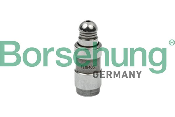 BORSEHUNG B18827 | Subap İtici Hidrolik A3-A1-Ateca-Arona-Kamiq-Fabia (420 0252 10) Cjza-Chzc-Chzd-Chzk-Dklb 1,0 TSI-1.2 TSI-1,5 TSI