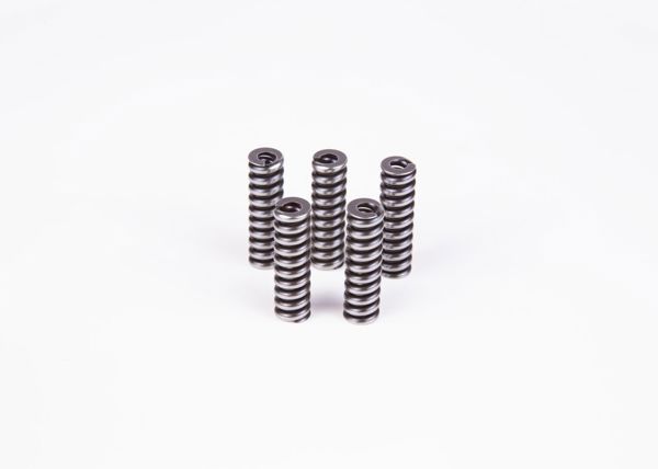 BOSCH 2434614055 | Gergi Yayı Yay