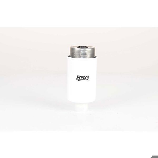 BSG 15-130-009 | Yakıt Filtresi  Land Rover Range Rover Sport Discovery III-IV 4.4 D-4.4 D V8 10-18