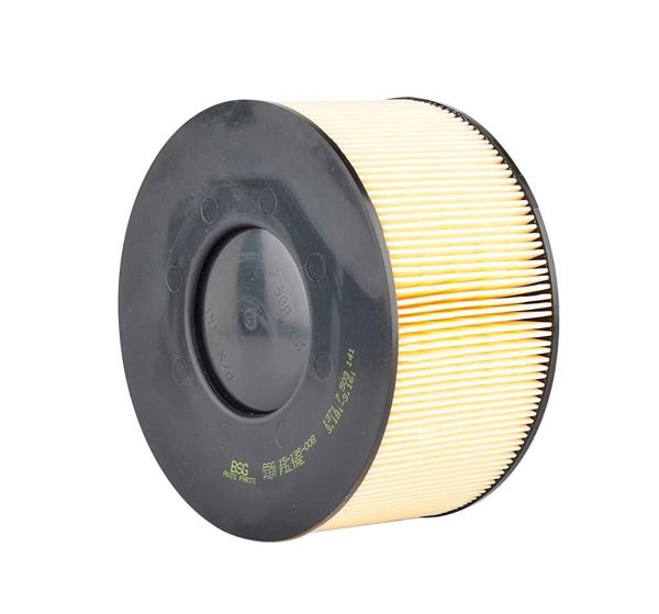 BSG 15-135-008 | Hava Filtresi