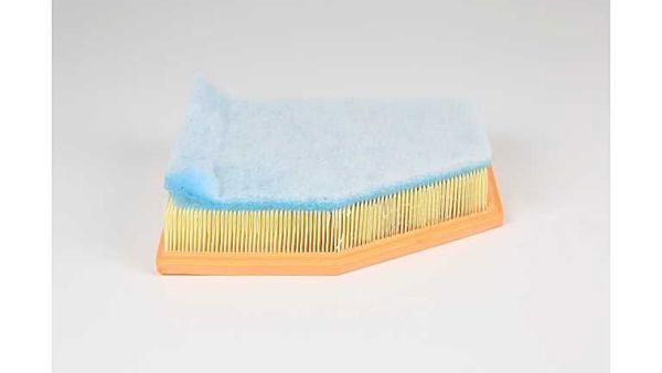 BSG 15-135-023 | Hava Filtresi C28038-Adb112258-E1346l