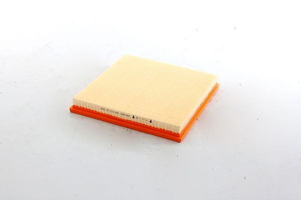 BSG 15-135-034 | Hava Filtresi