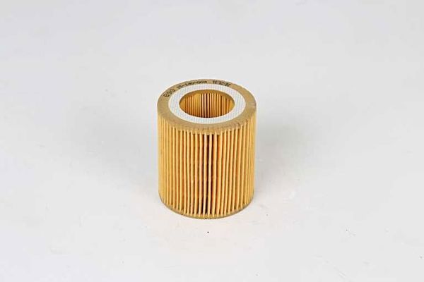 BSG 15-140-003 | Yağ Filtresi Hu816x-Ox 387D