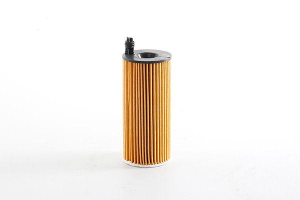 BSG 15-140-005 | Yağ Filtresi Hu6004x-Ox 404D-E204hd218