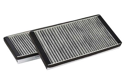 BSG 15-145-010 | Polen Filtresi Takım Karbonlu