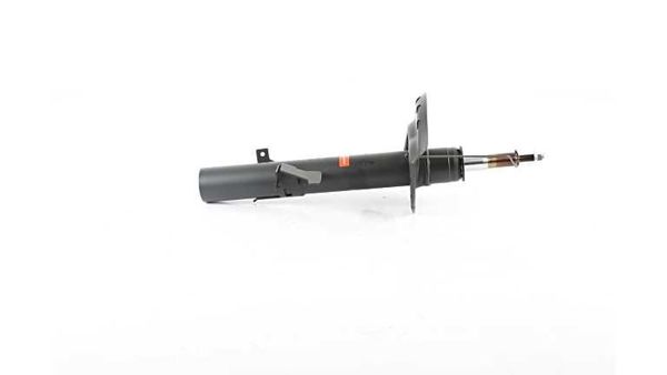 BSG 15-300-050 | Amortisör Ön Sağ Sağ Freelander 2 Bm 06-14