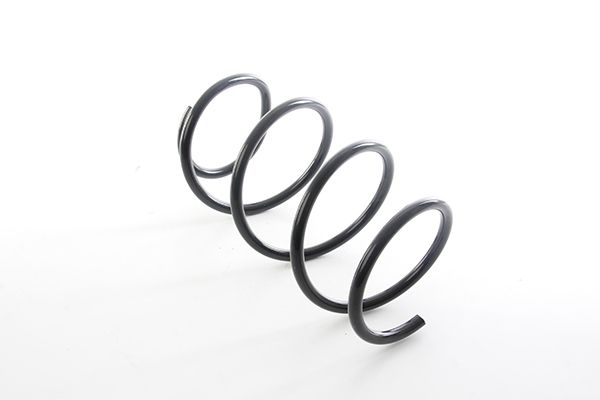 BSG 15-305-007 | Helezon Yayı Ön  E46 M52-M54 96-03