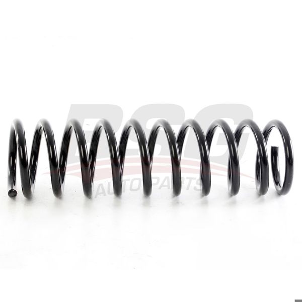 BSG 15-305-019 | Helezon Yayı Arka