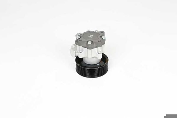BSG 15-355-030 | Direksiyon Pompası  Land Rover Range Rover III 3.6 06-12