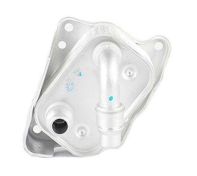 BSG 15-506-005 | Yağ Soğutucusu