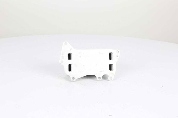 BSG 15-506-015 | Yağ Radyatörü