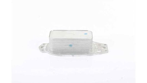 BSG 15-506-037 | Yağ Soğutucusu