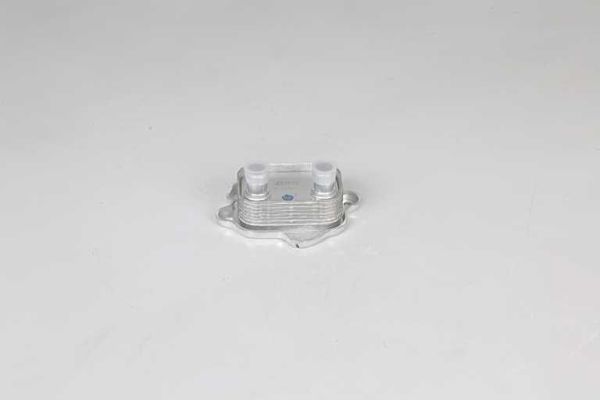 BSG 15-506-042 | Yağ Soğutucusu  Mini R50-R52 Bm 01-04