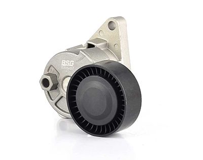 BSG 15-615-007 | V Kayış Gergisi Komple