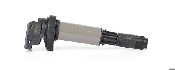 BSG 15-835-001 | Ateşleme Bobini