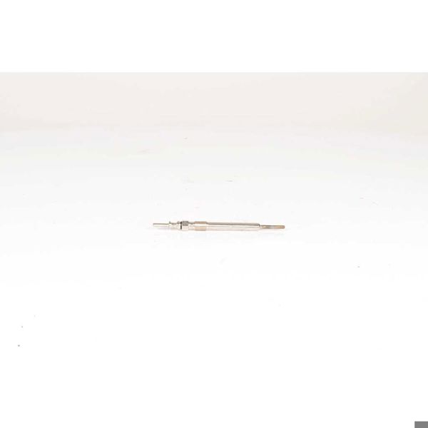 BSG 15-870-008 | Kızdırma Bujisi 0250603006