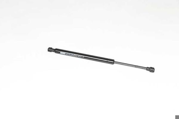 BSG 15-980-032 | Bagaj Amortisörü