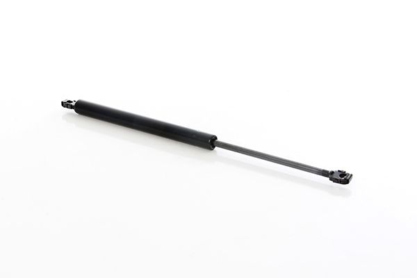 BSG 15-980-037 | Bagaj Amortisörü