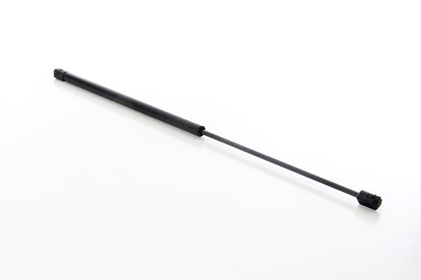 BSG 15-980-044 | Bagaj Amortisörü