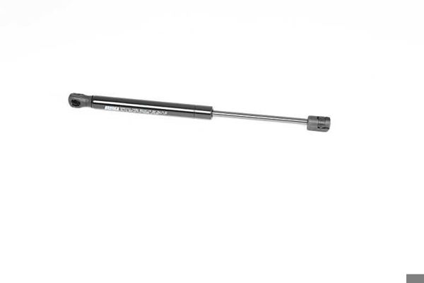 BSG 15-980-059 | Motor Kaput Amortisörü  Freelander 2 Bm 06-14