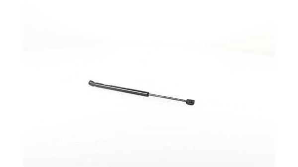 BSG 15-980-073 | Motor Kaput Amortisörü  Mini Clubman F54 Bm 14-18