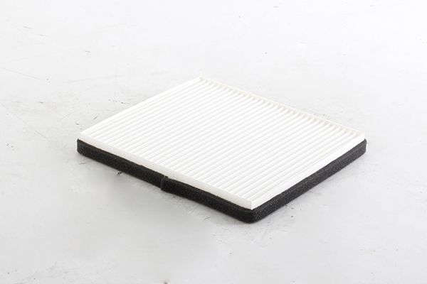 BSG 16-145-005 | Polen Filtresi Polen Filtresi