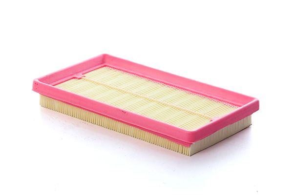 BSG 25-135-021 | Hava Filtresi  Panda/500 0,9 12-