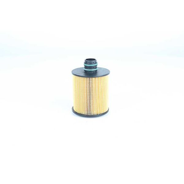 BSG 25-140-004 | Yağ Filtresi Altı Kapalı