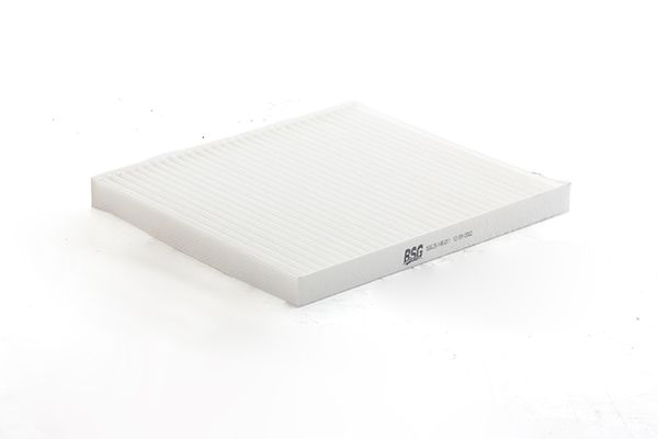 BSG 25-145-011 | Polen Filtresi