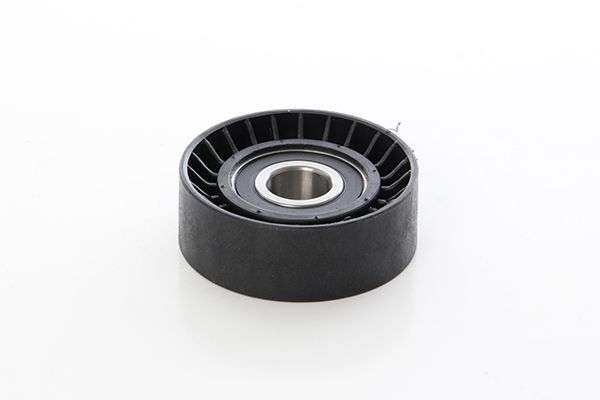 BSG 25-615-003 | V Kayış Gergi Rulmanı 8V-16V