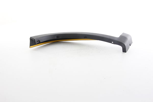 BSG 25-922-024 | Çamurluk Bandı Ön Sol Çamurluk Ağız Çıtası Ducato III-Boxer III-Jumper III Bm 07-