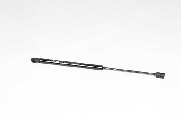 BSG 25-980-024 | Bagaj Amortisörü  500X (334_) / Pratico Platform Şasi (263_) Bm 10-