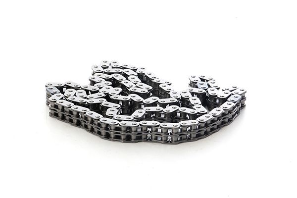 BSG 30-105-005 | Eksantrik Zinciri 90 Ps