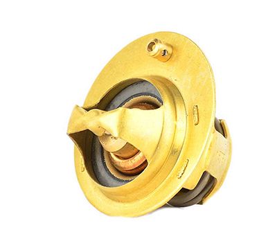 BSG 30-125-020 | Termostat 04-Sonrası Tüm Modeller