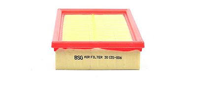 BSG 30-135-006 | Hava Filtresi 7T16 9601 Ab