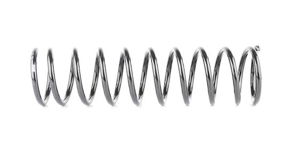 BSG 30-305-016 | Helezon Yayı Arka